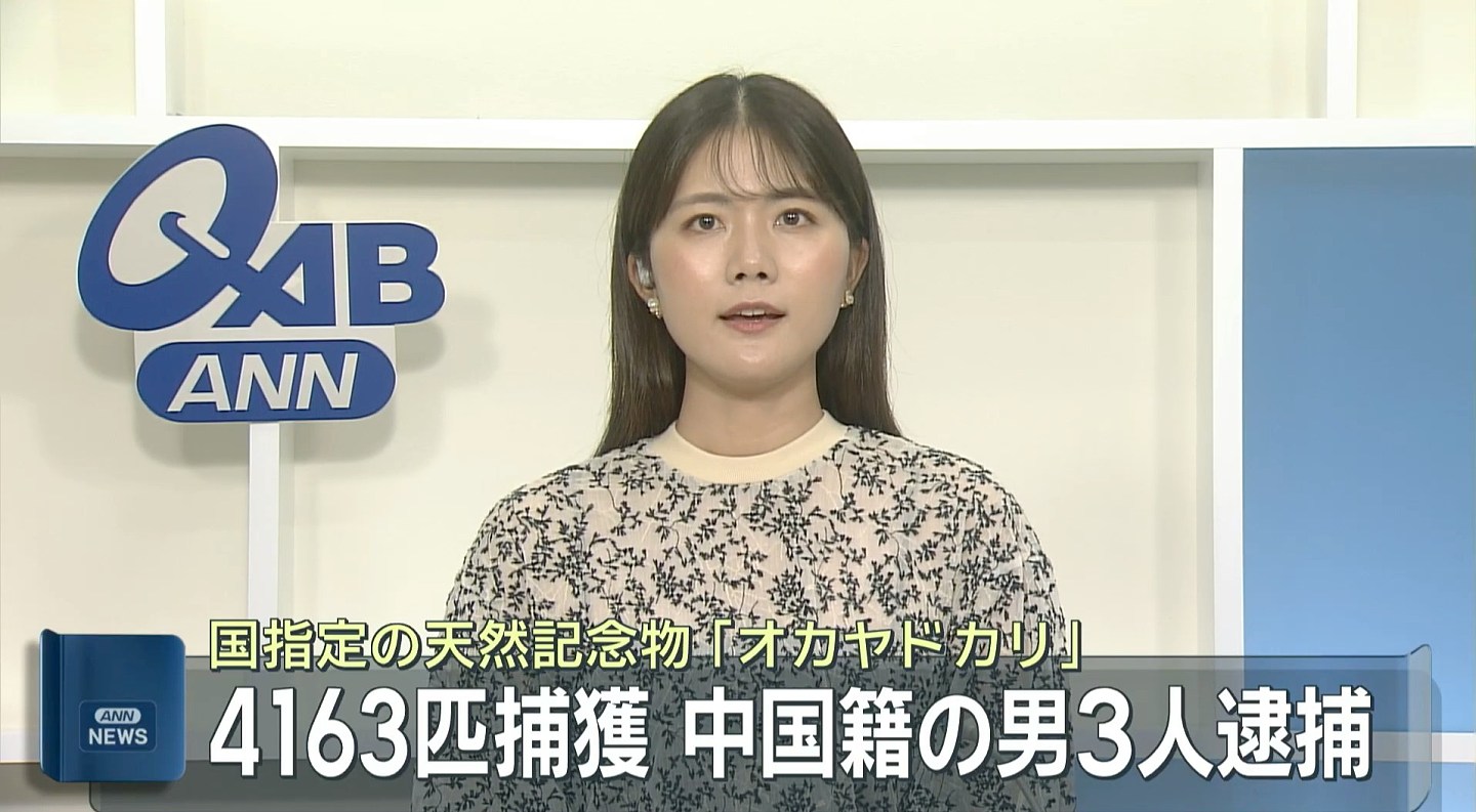 3名中国籍男子涉走私4163只冲绳寄居蟹被捕,疑犯称不知包裹内容 - 2