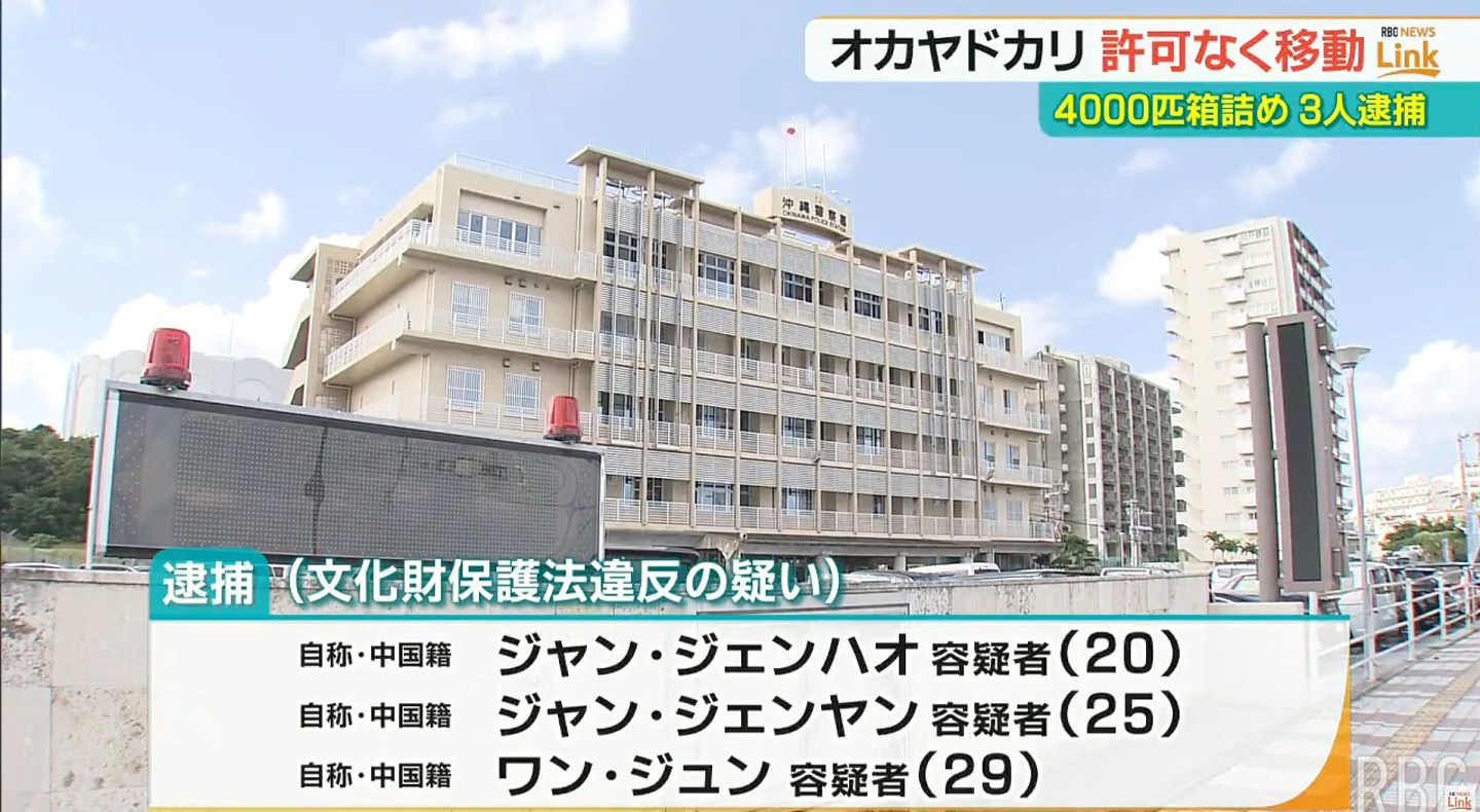 3名中国籍男子涉走私4163只冲绳寄居蟹被捕,疑犯称不知包裹内容 - 3