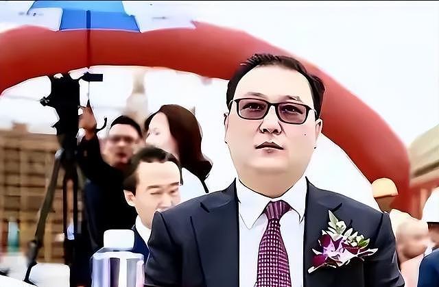 密春雷再传噩耗!欠钱只是冰山一角,老婆董卿也救不了他 - 11