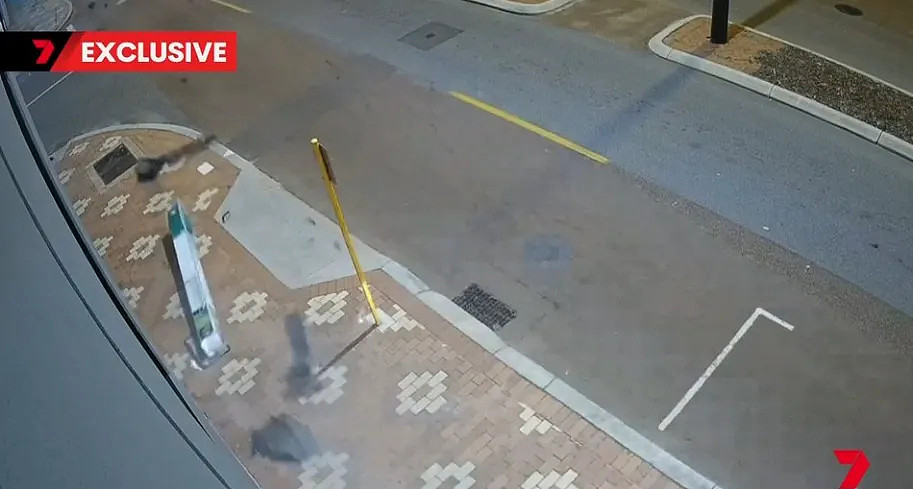 血色28小时！西澳第六个人死亡，警方紧急发声（组图） - 5