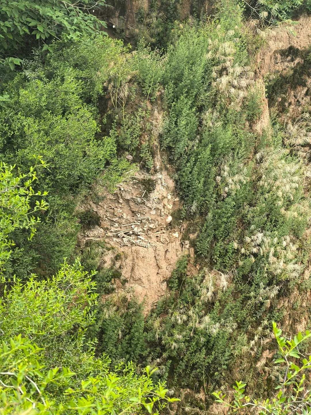山西道路坍塌惊现大量白骨 官方：千年前战场遗骸 - 2