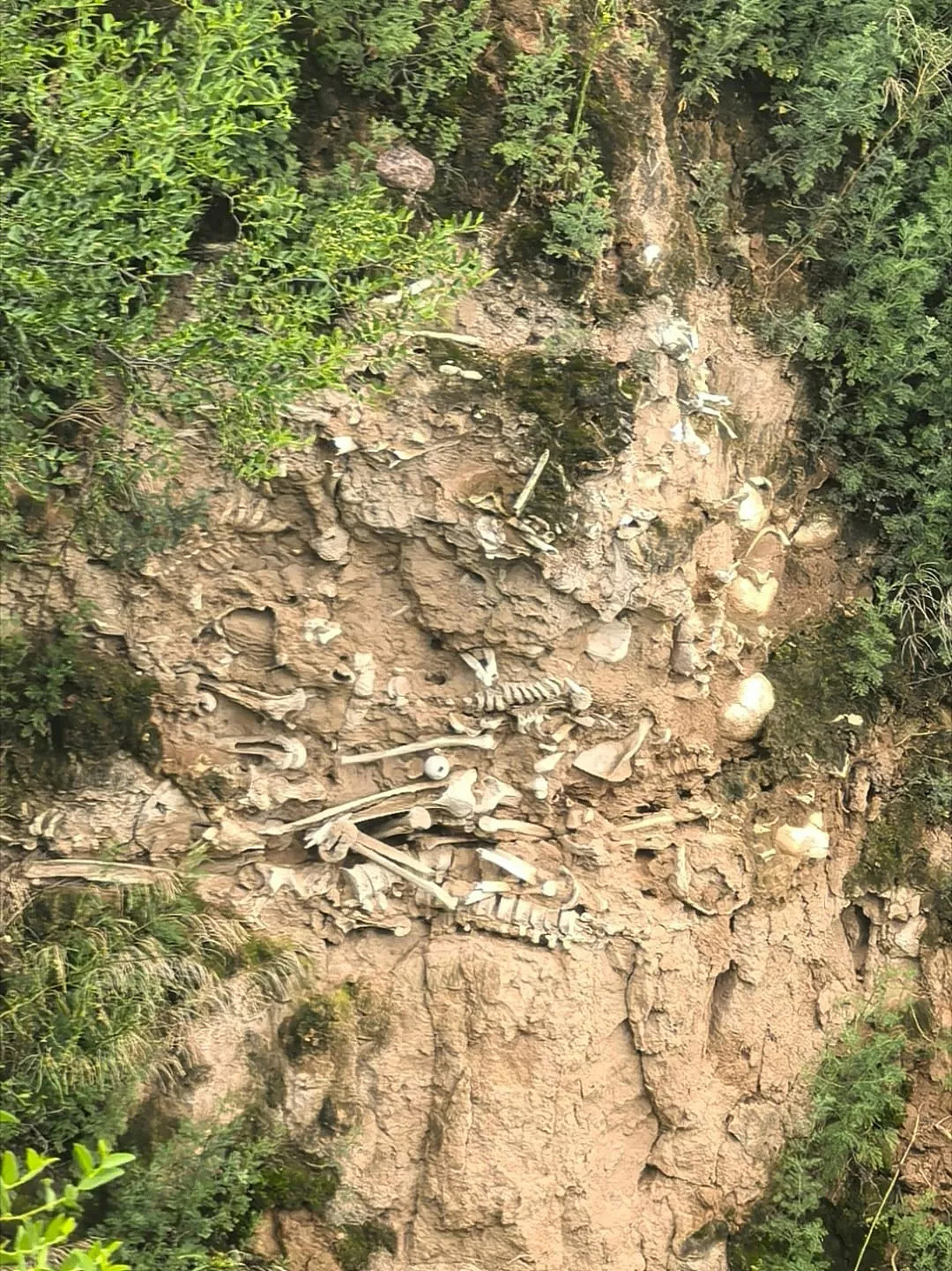 山西道路坍塌惊现大量白骨 官方：千年前战场遗骸 - 3