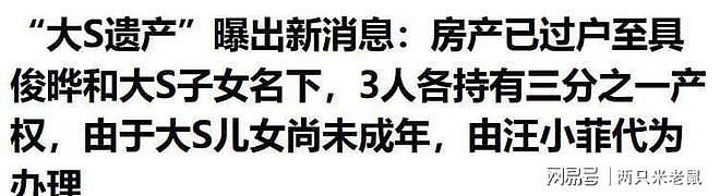 汪小菲证实:大S豪宅过户具俊晔子女,涉418万税务 - 21