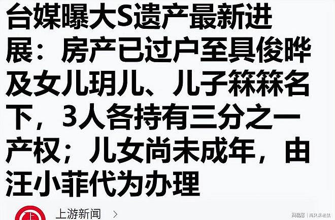 汪小菲证实:大S豪宅过户具俊晔子女,涉418万税务 - 23