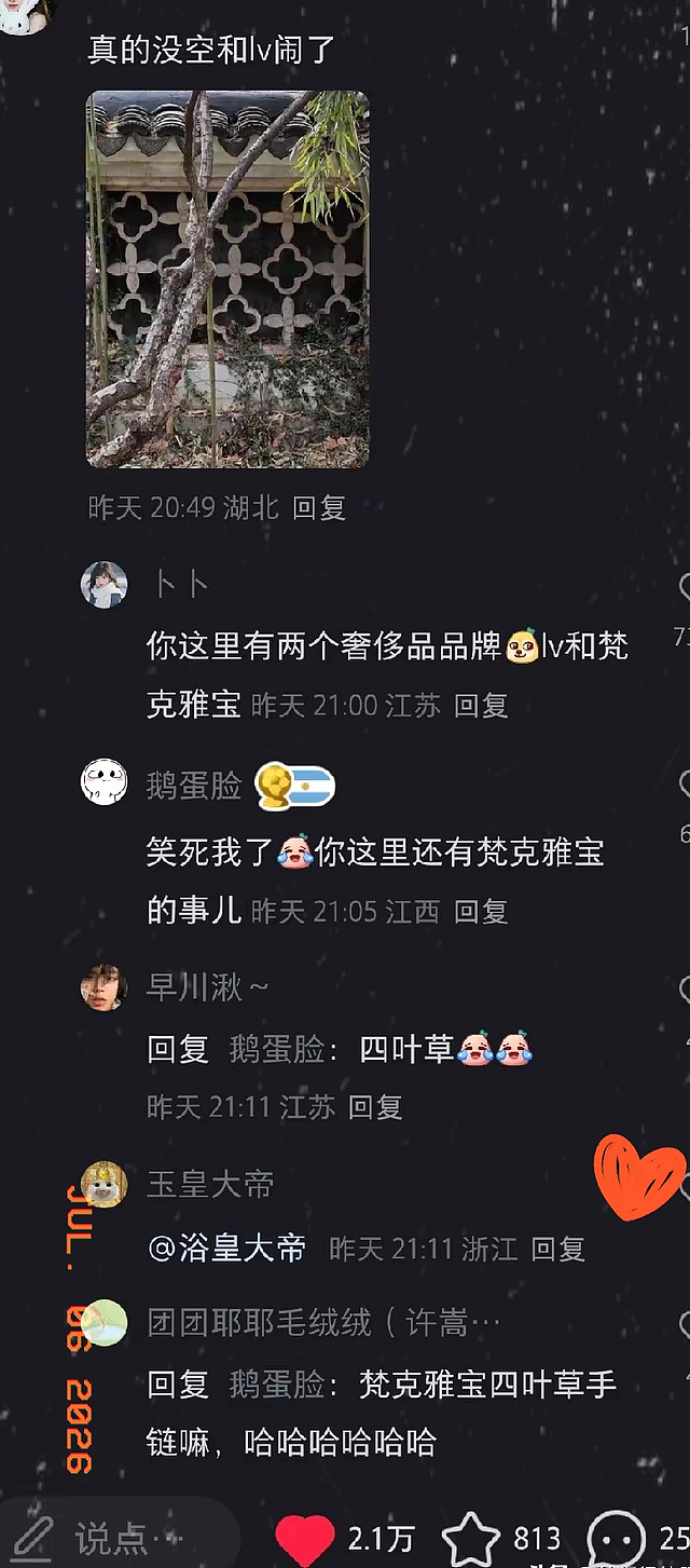 LV秋冬大秀现场:明星集体避嫌跑路、闭门硬撑,起诉架势不降反增 - 26