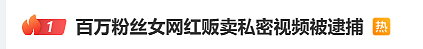 画面不堪入目!百万粉丝女网红及经纪人,双双被捕(组图) - 1