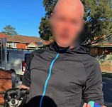澳5岁华女受大型犬惊吓，家长提醒牵绳反遭种歧辱骂
