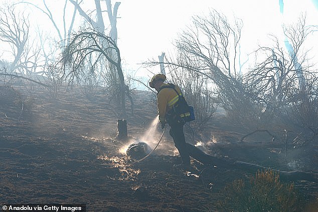 加州今年超3800场野火敲响警钟：澳洲今夏或面临严峻山火季！ - 4