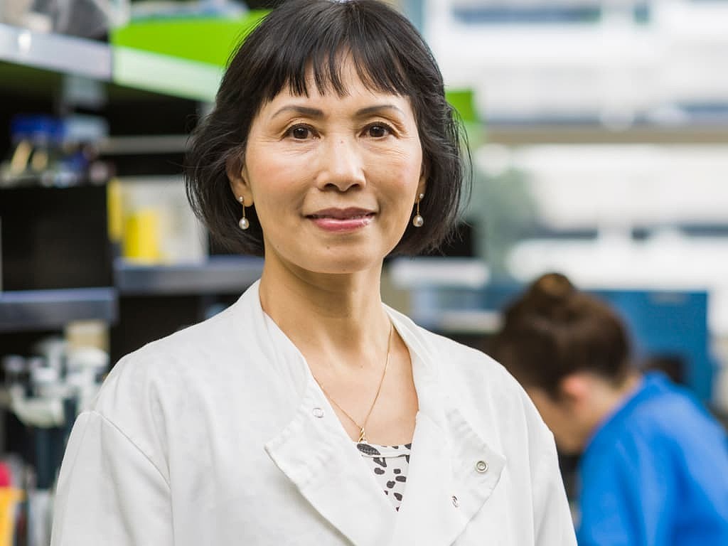 原报道所附Shudong Wang教授公开肖像；现任职以大学人员目录为准