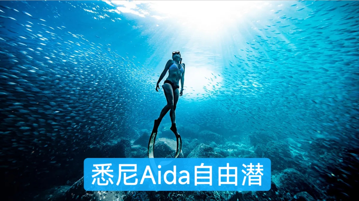 今日悉尼 悉尼自由潜水渔猎约伴 悉尼自由潜水渔猎约伴
