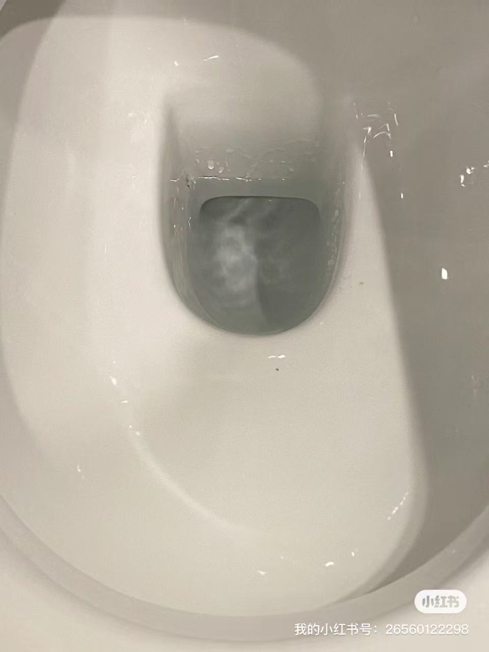 今日悉尼 爱家家政承接退租清洁日常清洁大扫除商业清洁建筑开荒清洁 爱家家政承接退租清洁日常清洁大扫除商业清洁建筑开荒清洁