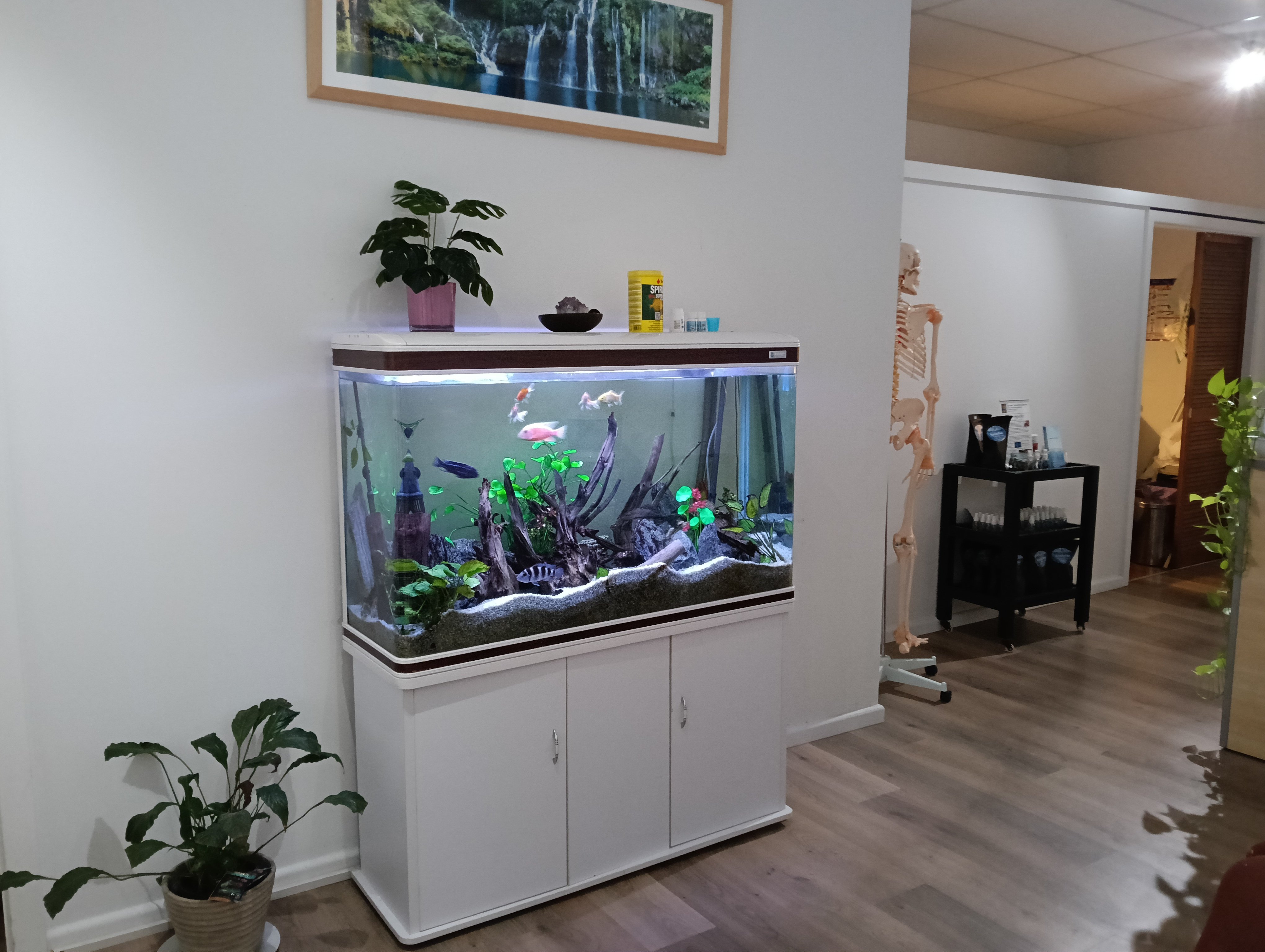 今日珀斯Dee Why悉尼商业中心33年正规按摩老店 3个独房间超低租金售4万8千 Dee Why悉尼商业中心33年正规按摩老店 3个独房间超低租金售4万8千