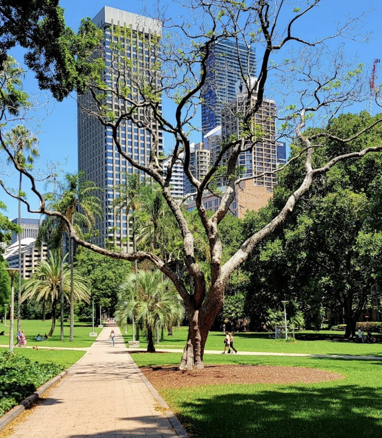 今日悉尼Sydney 悉尼市中心海德公园旁写字楼办公室分租 Sydney 悉尼市中心海德公园旁写字楼办公室分租