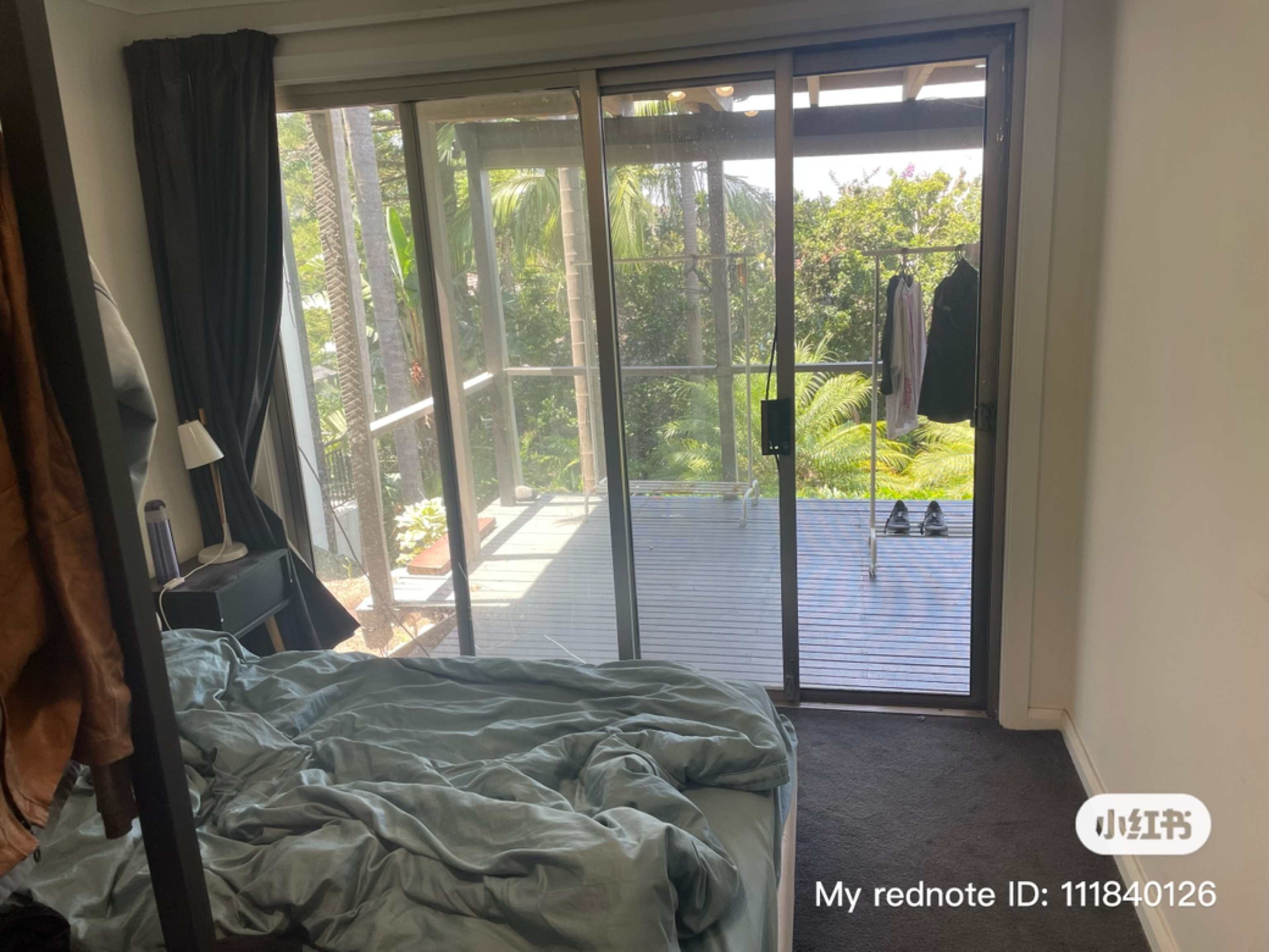 今日悉尼Randwick 新南大学旁 单间出租 Randwick 新南大学旁 单间出租