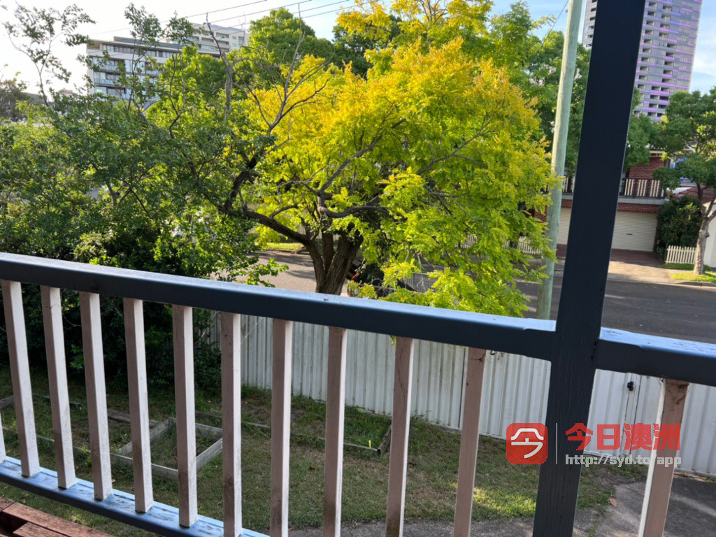 今日悉尼Kensington 近大学 Unit 单间 Kensington 近大学 Unit 单间