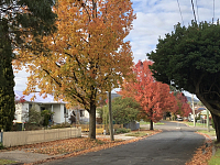 Sydney 蓝山LithgowBowenfels出租单间