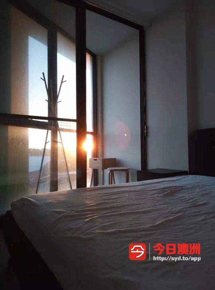 今日卧龙岗Hurstville 日租长租次卧 近新公寓 火车站300米远 拎包入住 Hurstville 日租长租次卧 近新公寓 火车站300米远 拎包入住