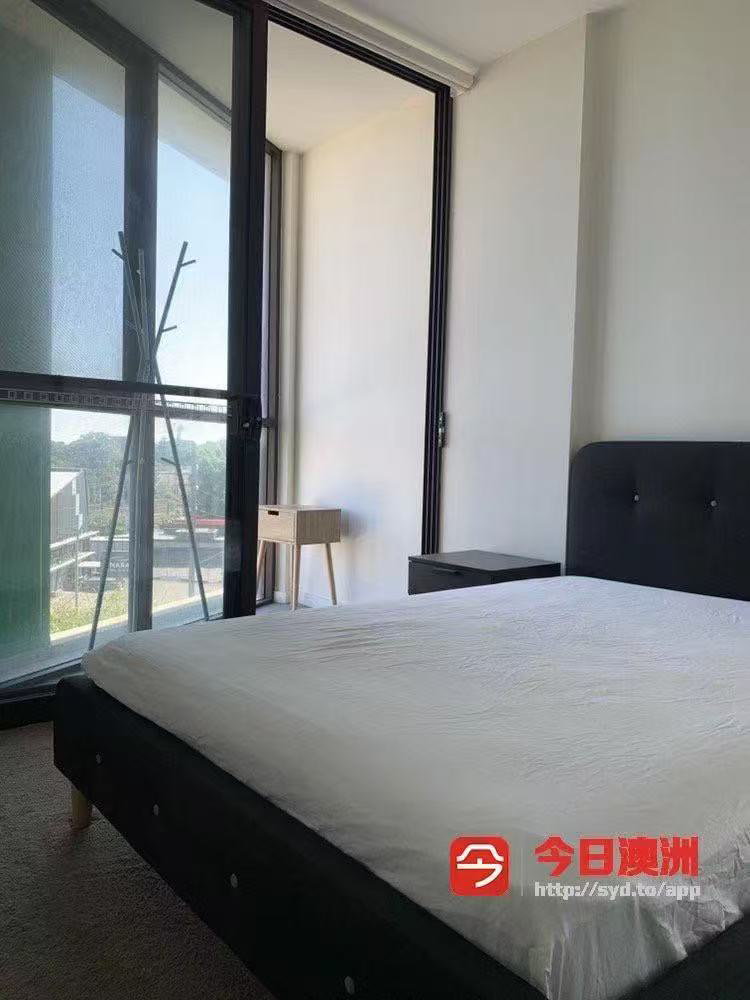 今日墨尔本Hurstville 房东直租次卧 近新公寓 火车站300米 拎包入住 房东不住 Hurstville 房东直租次卧 近新公寓 火车站300米 拎包入住 房东不住