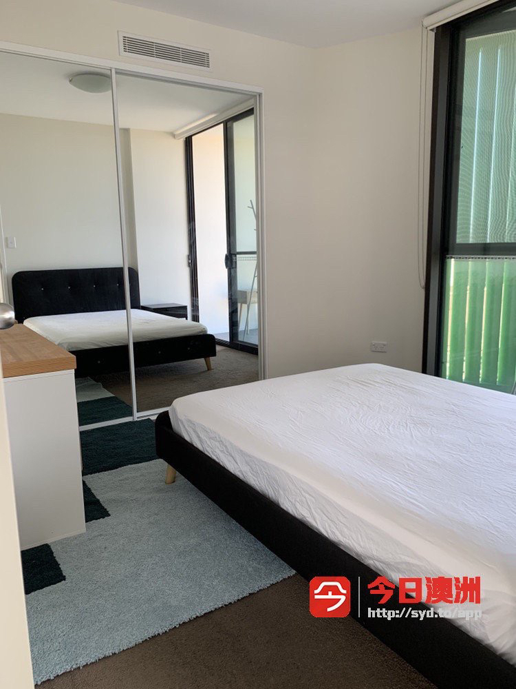 今日墨尔本Hurstville 房东直租次卧 近新公寓 火车站300米 拎包入住 房东不住 Hurstville 房东直租次卧 近新公寓 火车站300米 拎包入住 房东不住
