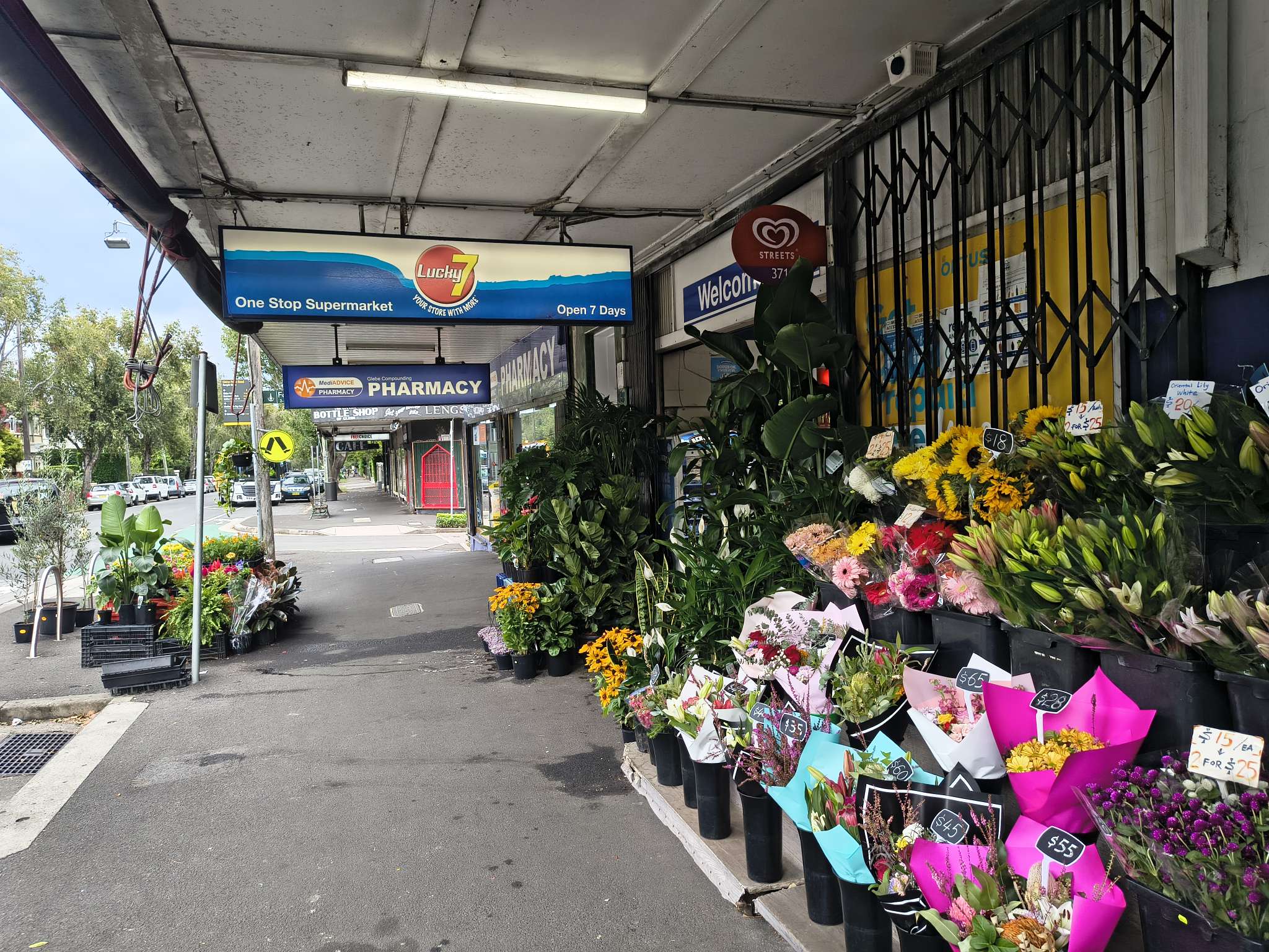 今日悉尼Glebe 2室1卫 步行悉尼大学 近一切 Glebe 2室1卫 步行悉尼大学 近一切