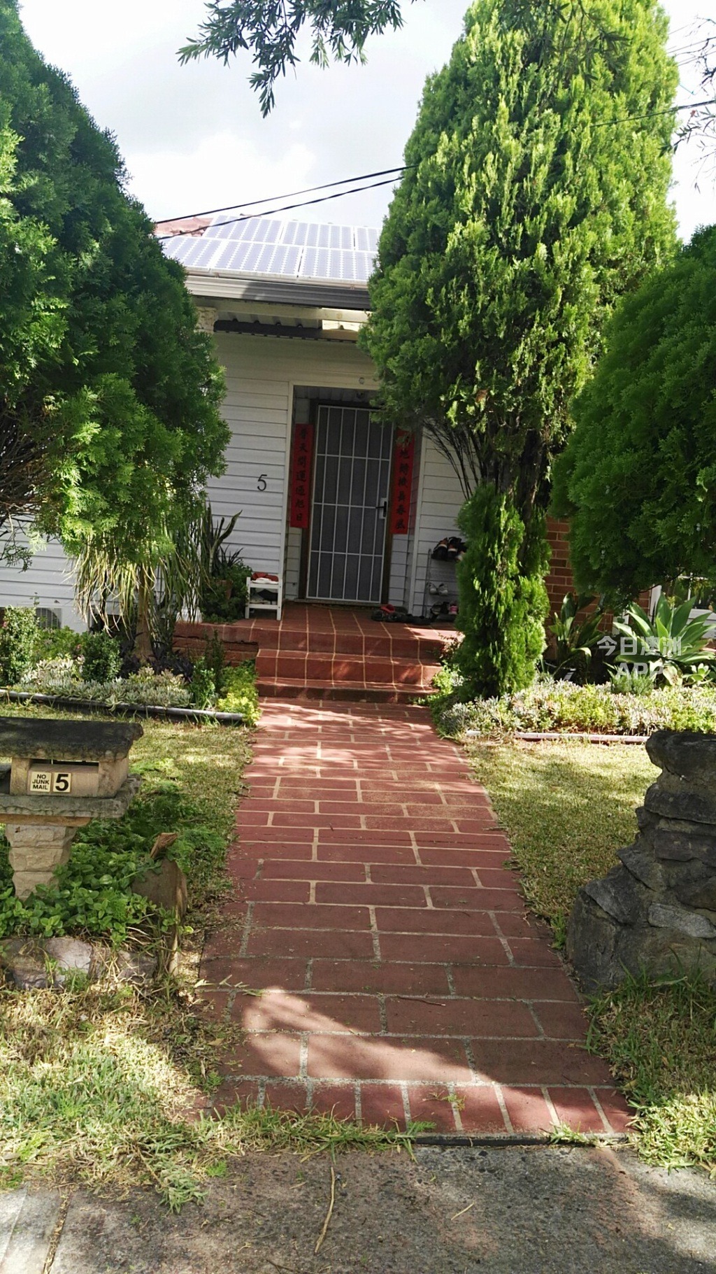 今日悉尼Revesby 靠窗厅房出租 5分钟到火车站 Revesby 靠窗厅房出租 5分钟到火车站
