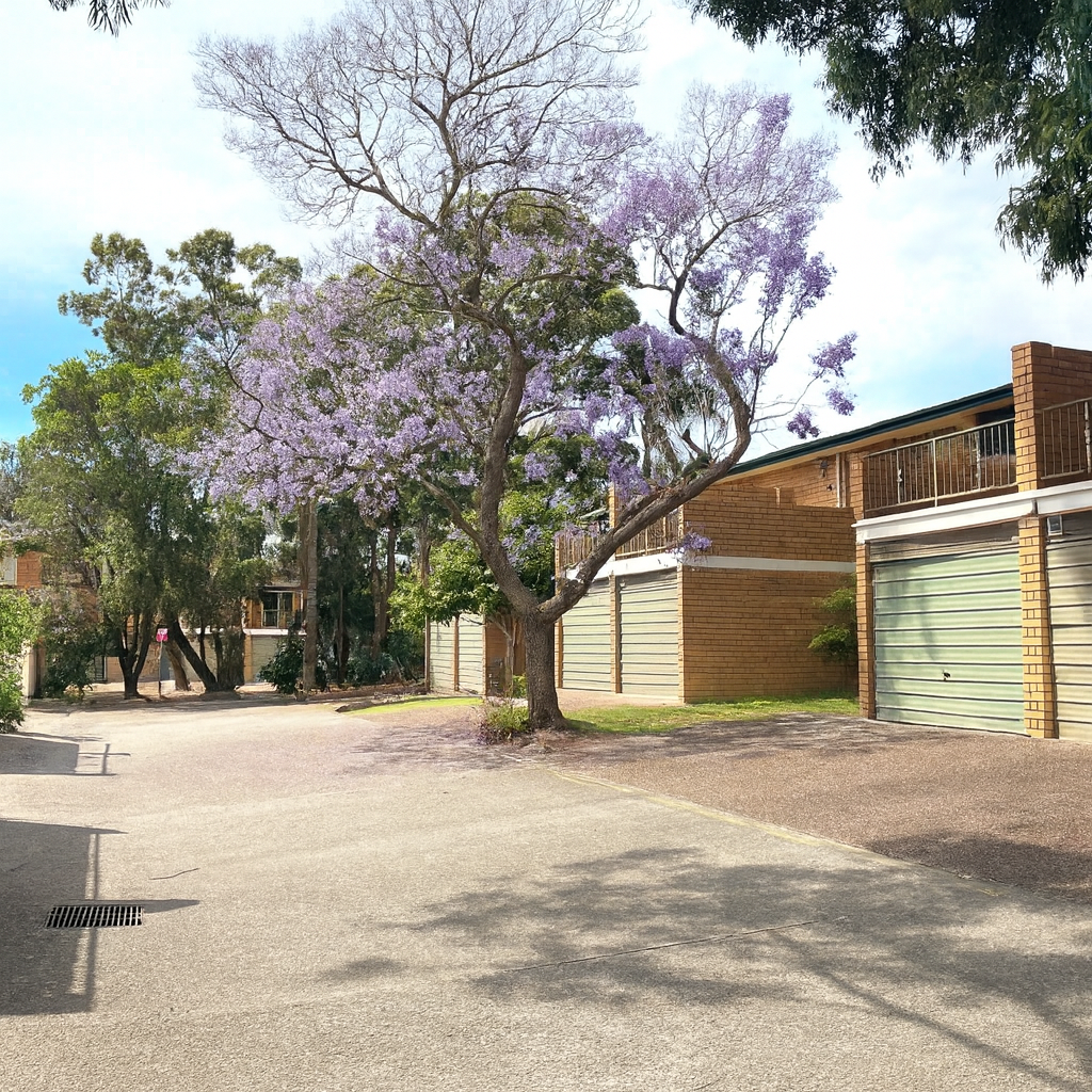 今日珀斯Westmead Townhouse 近Parramatta单人房招租 Westmead Townhouse 近Parramatta单人房招租