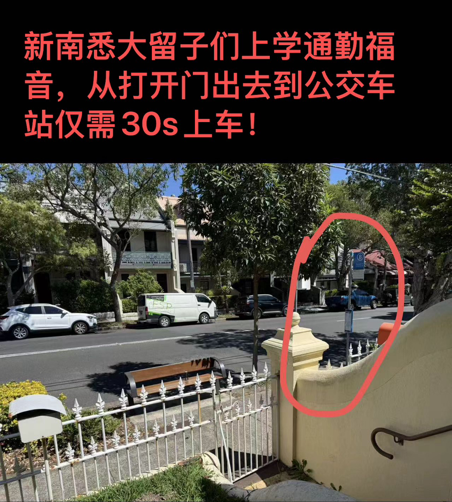 今日悉尼Zetland 悉尼租房无敌老房出租 Zetland 悉尼租房无敌老房出租