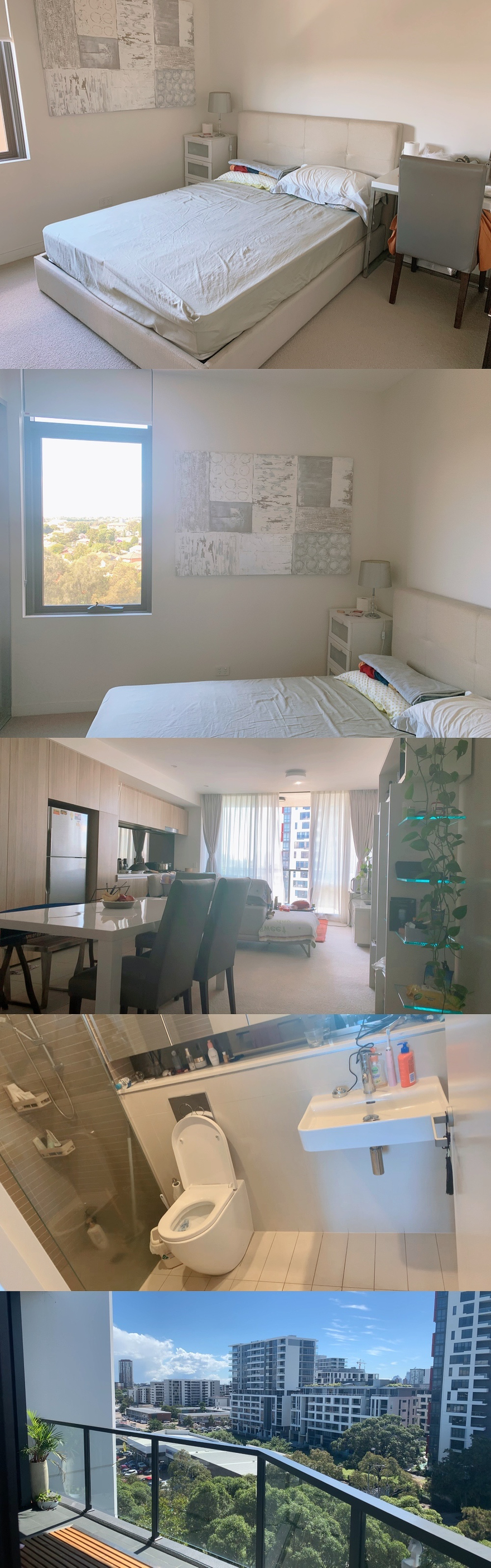 今日珀斯Zetland 次卧独卫招租 全屋木地板 Zetland 次卧独卫招租 全屋木地板