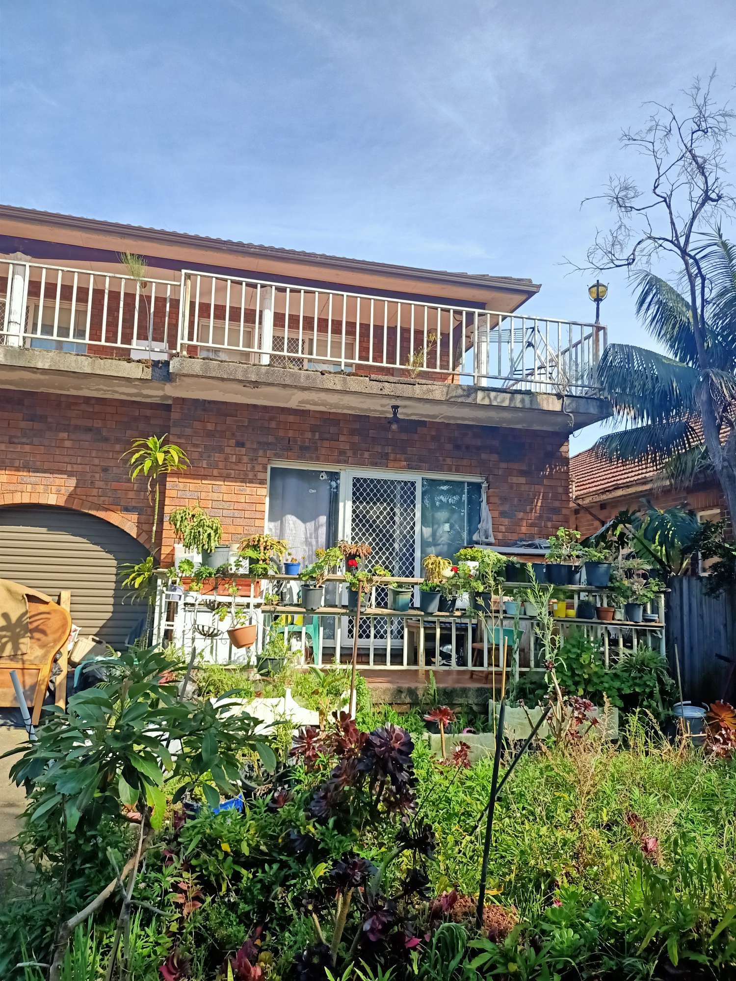 今日悉尼Burwood 特大单间 Burwood 特大单间