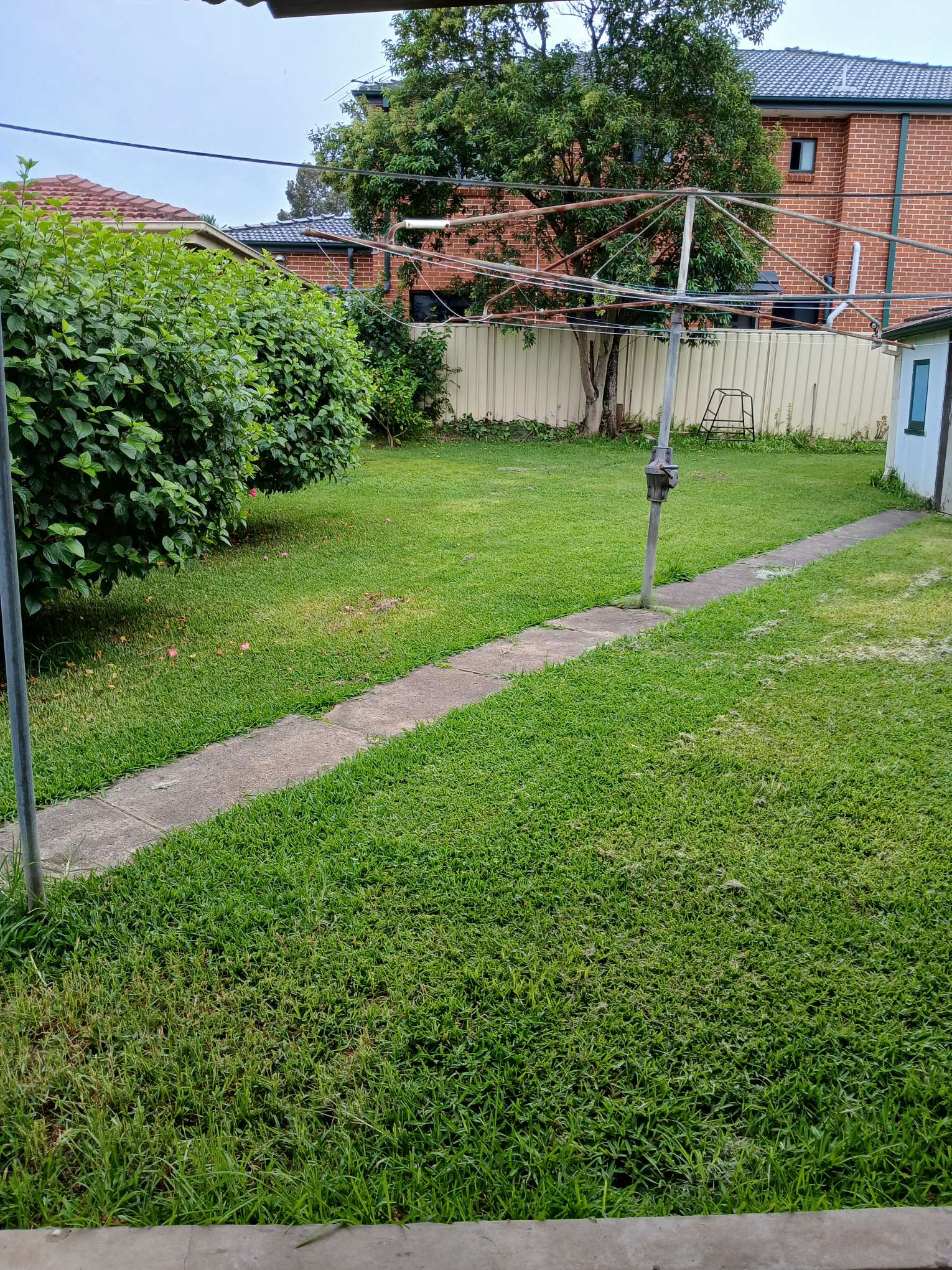 今日悉尼Burwood 干净大单间送仓库开车到burwood中心五分钟 Burwood 干净大单间送仓库开车到burwood中心五分钟