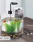 mini fish tank