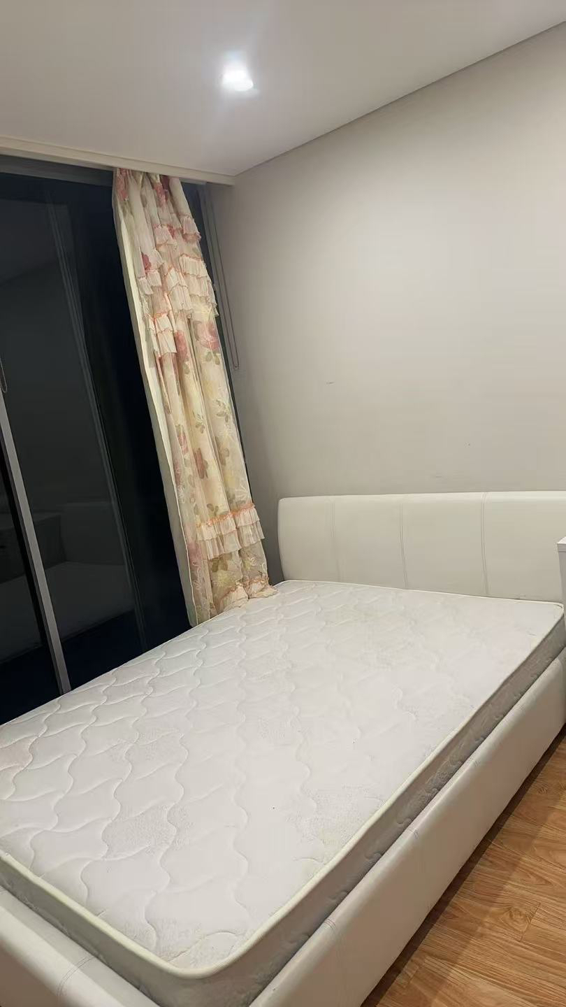 今日悉尼Waterloo 房屋出租 Waterloo 房屋出租