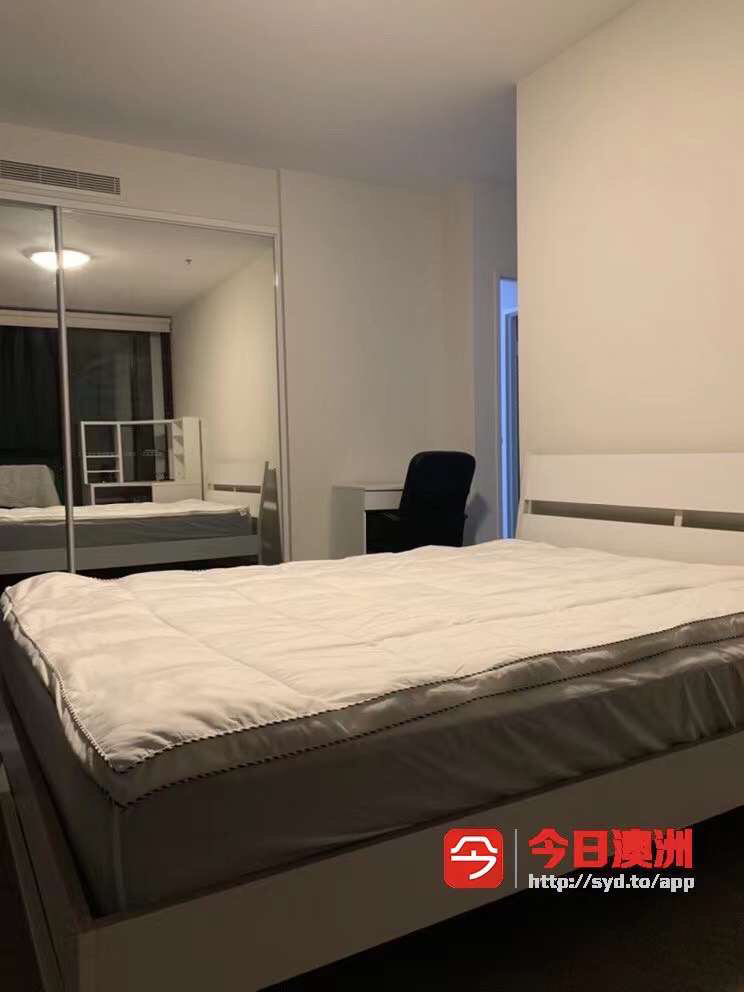 今日悉尼Hurstville 该区顶级主卧 房东直租近新公寓3b2b 火车站Westfield 300米远 Hurstville 该区顶级主卧 房东直租近新公寓3b2b 火车站Westfield 300米远