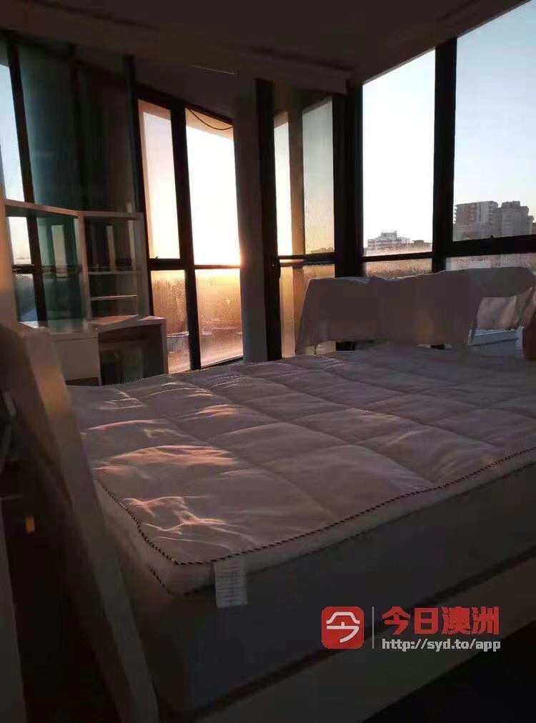 今日悉尼Hurstville 该区顶级主卧 房东直租近新公寓3b2b 火车站Westfield 300米远 Hurstville 该区顶级主卧 房东直租近新公寓3b2b 火车站Westfield 300米远
