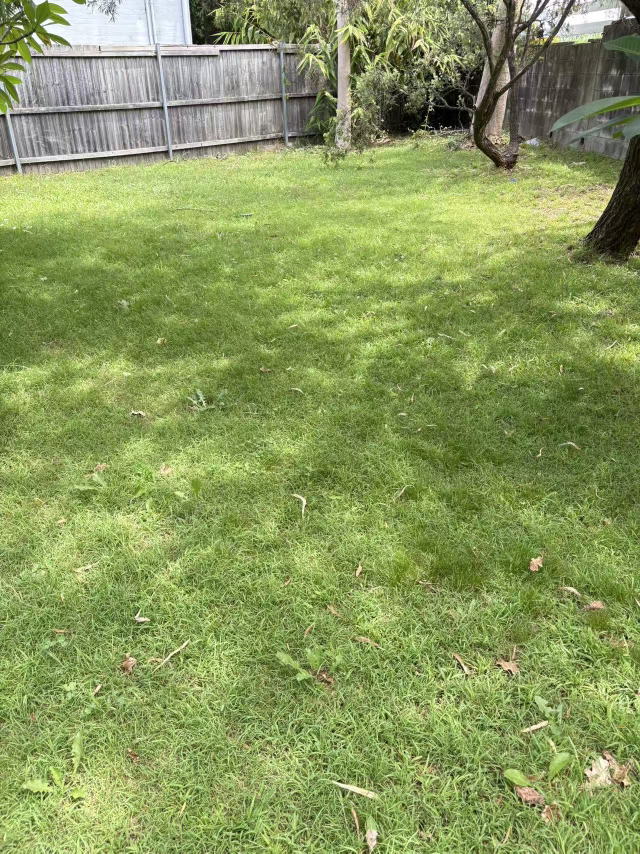 今日悉尼Thornleigh 三房一卫House 整租每周750 Thornleigh 三房一卫House 整租每周750