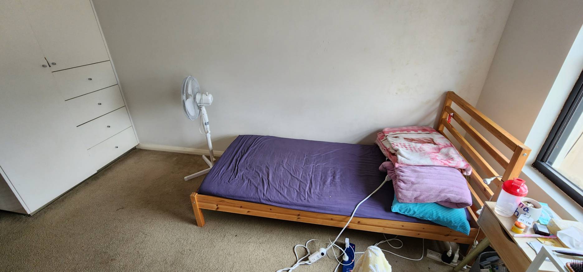今日悉尼Forest Lodge Second room for rent at Forest Lodge Second room for rent at
