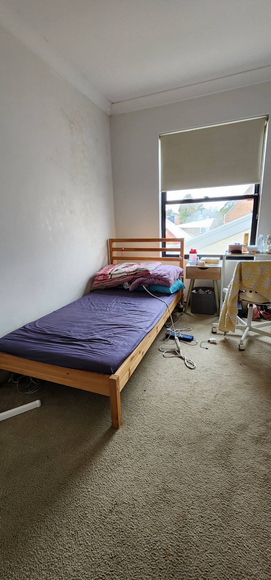 今日悉尼Forest Lodge Second room for rent at Forest Lodge Second room for rent at