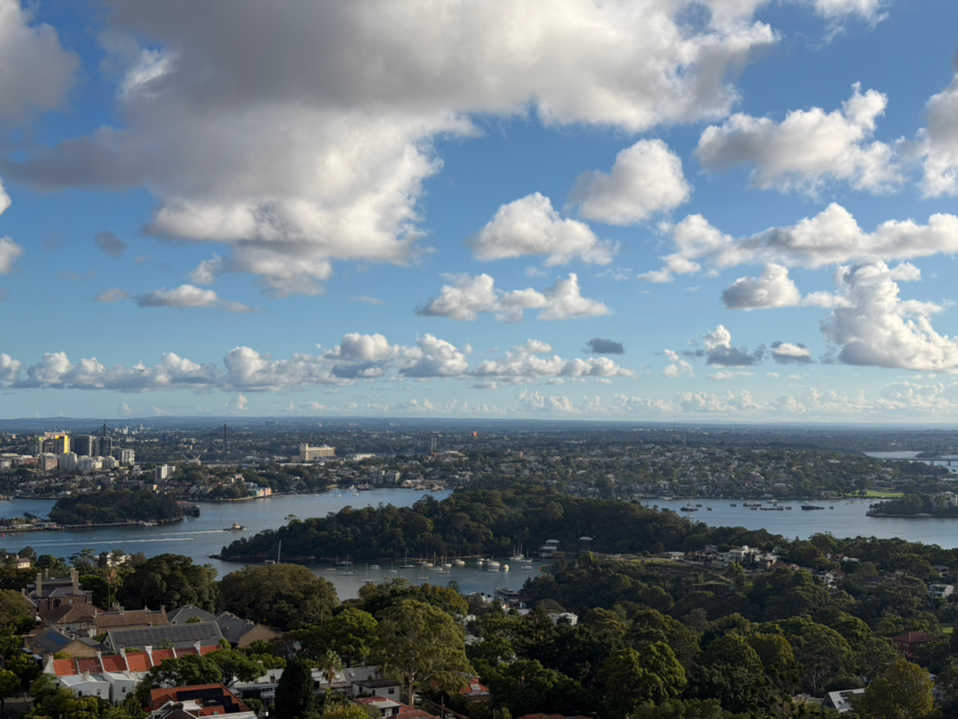 今日悉尼North Sydney 北悉尼超绝海景主卧合同转租 North Sydney 北悉尼超绝海景主卧合同转租