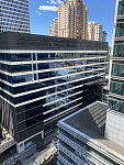 Sydney 悉尼 World Tower studio出租