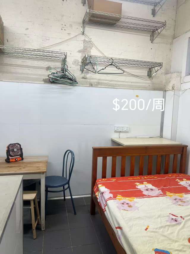 今日悉尼Waterloo 适合骑手的city单间出租 Waterloo 适合骑手的city单间出租