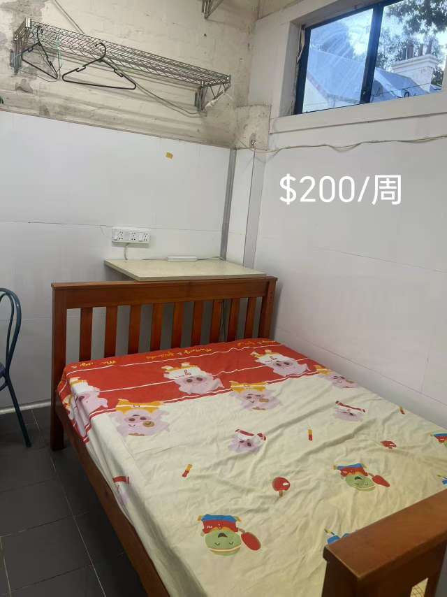 今日悉尼Waterloo 适合骑手的city单间出租 Waterloo 适合骑手的city单间出租