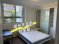 Homebush West 阳光大主卧可即刻入住