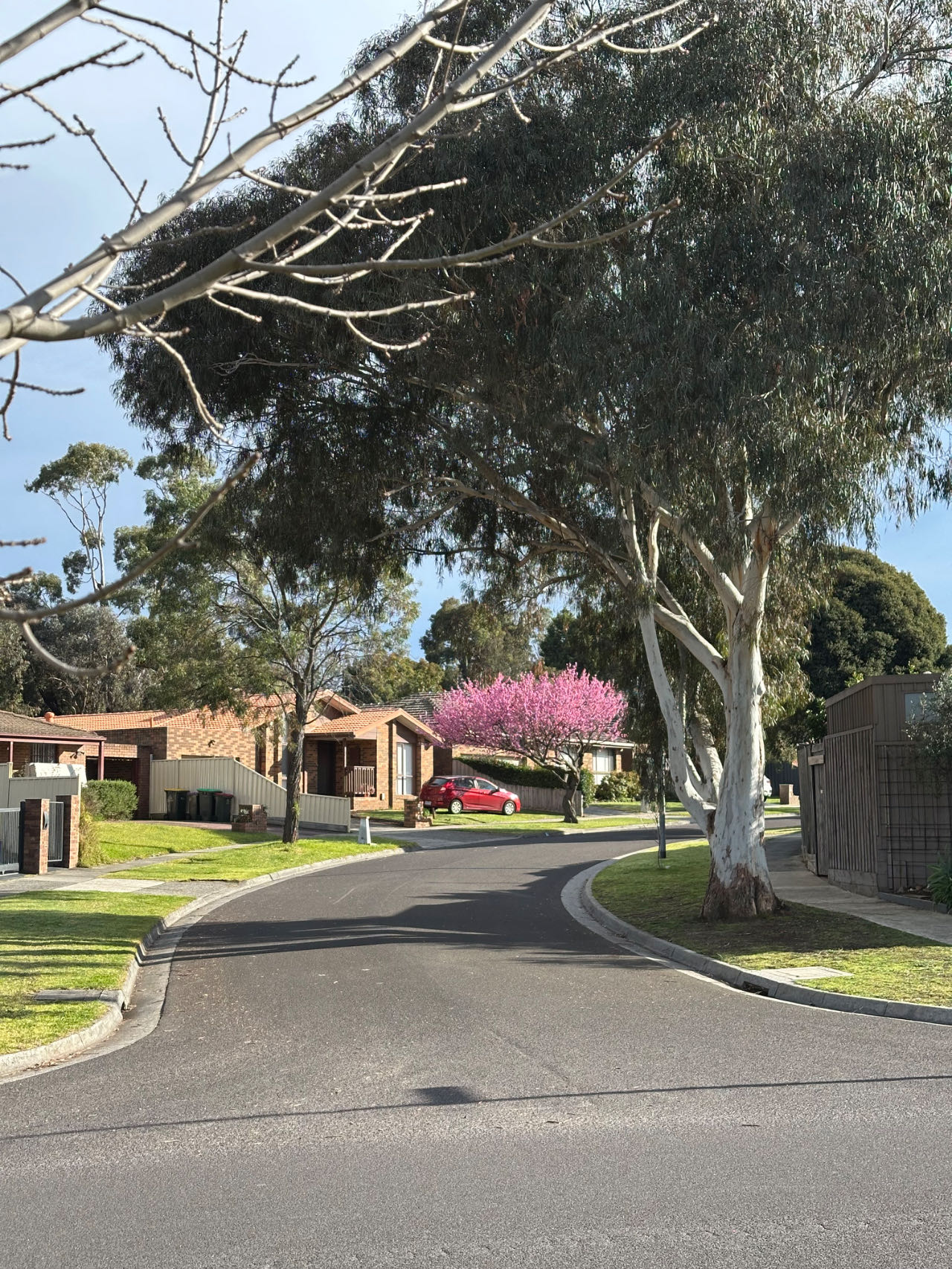 今日墨尔本Bundoora Mill Park 招租整租分租 Bundoora Mill Park 招租整租分租