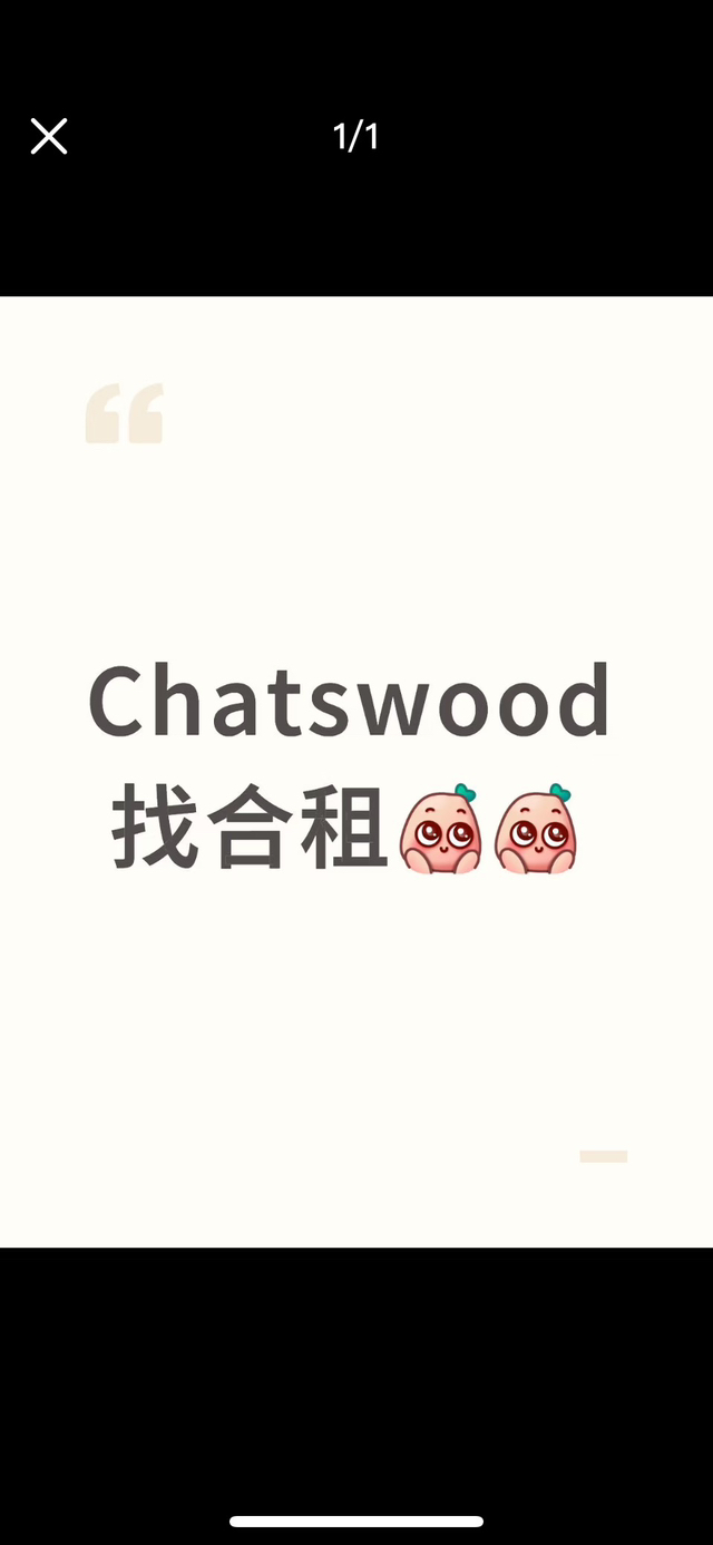 今日悉尼Chatswood chayswood Chatswood chayswood