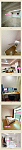 Adelaide City South 三层Townhouse单间