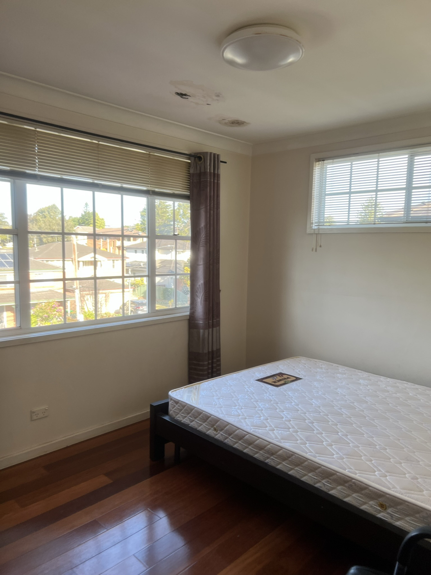 今日悉尼North Ryde Chatswood 别墅单间招租 North Ryde Chatswood 别墅单间招租