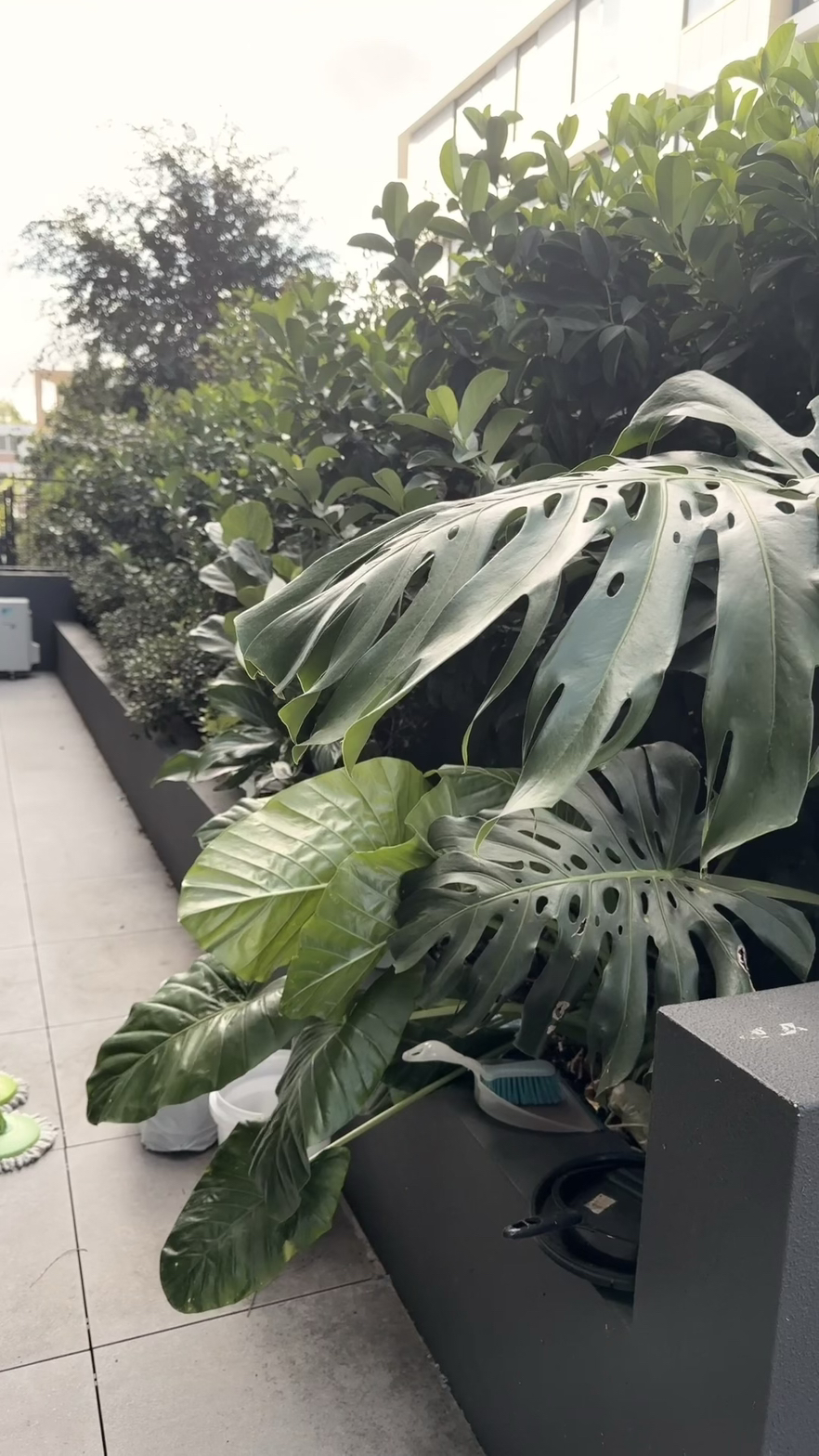 今日悉尼Rouse Hill 两房公寓豪华主卧出租带独立卫生间独立出入门独立车库 Rouse Hill 两房公寓豪华主卧出租带独立卫生间独立出入门独立车库