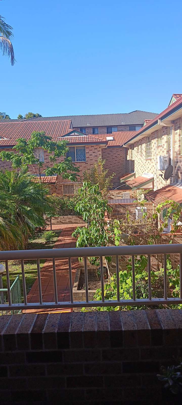 今日悉尼Campsie 一光猛大房出租 Campsie 一光猛大房出租