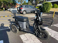 双人踏板车