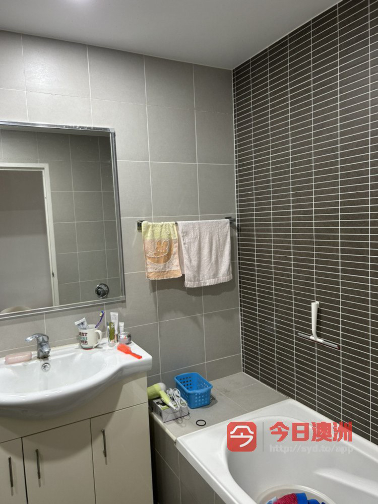 今日悉尼Hurstville 图书馆旁单间 Hurstville 图书馆旁单间